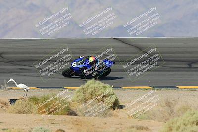 media/Oct-06-2024-Race Pace (Sun) [[d7d39ec7ad]]/9-Bowl Exit (940am)/